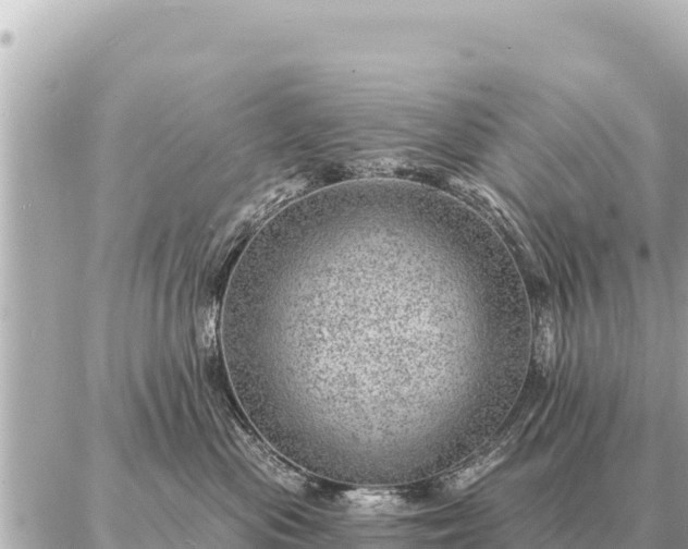 X0000086980477200704231824