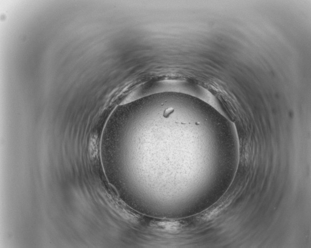 X0000086980478200704231824