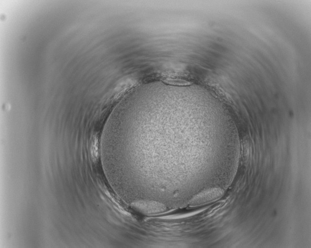 X0000086980479200704231824