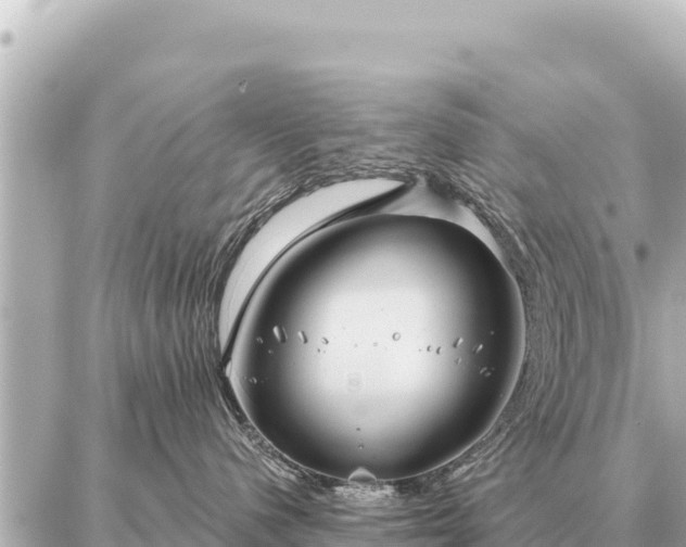 X0000086980480200704231824