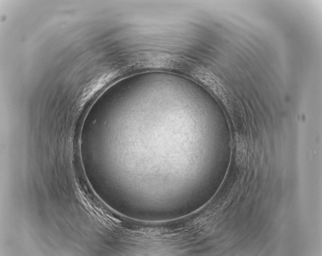 X0000086980482200704231823