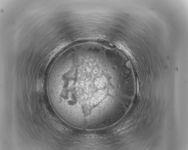 X0000086980483200704231823