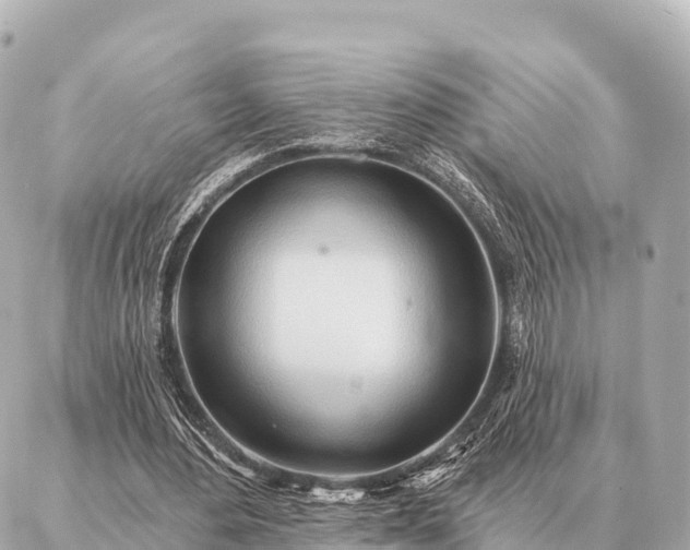 X0000086980484200704231823