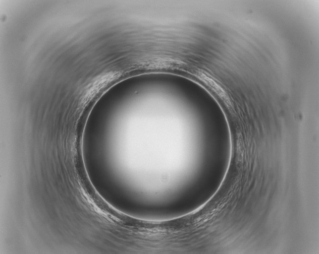 X0000086980485200704231823