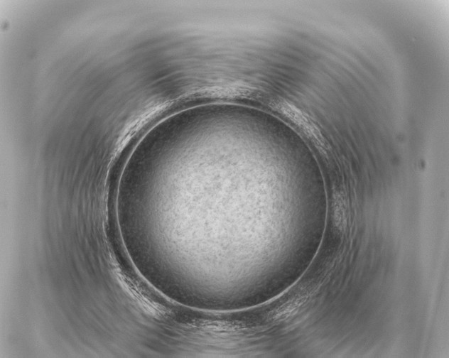 X0000086980486200704231823