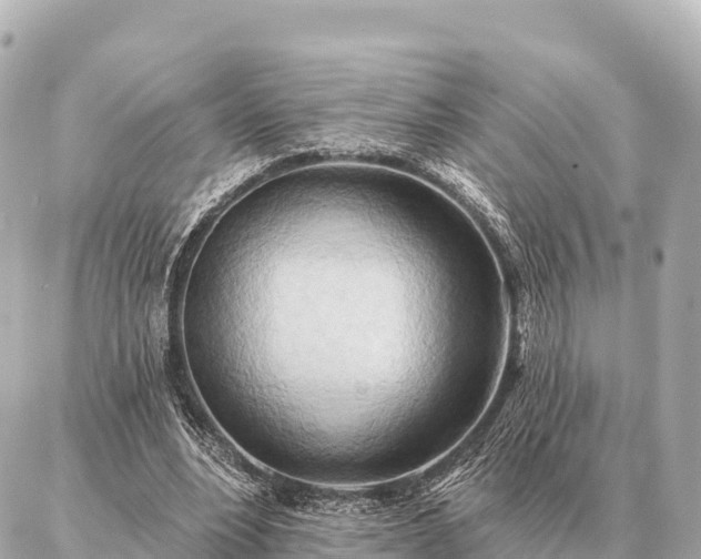 X0000086980488200704231823