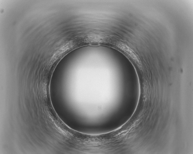 X0000086980489200704231823