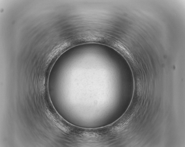 X0000086980490200704231823