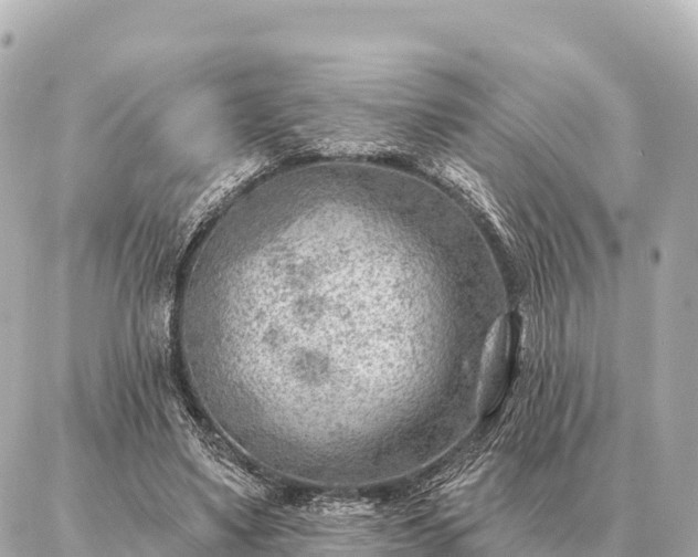 X0000086980491200704231823