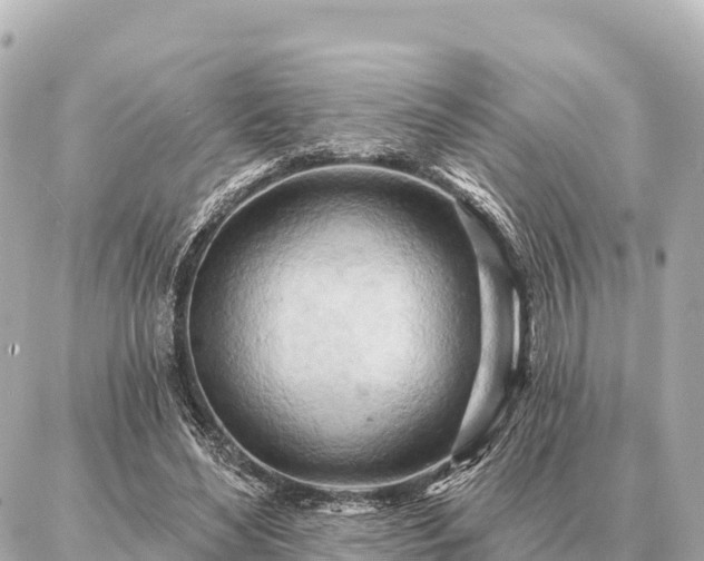 X0000086980492200704231823