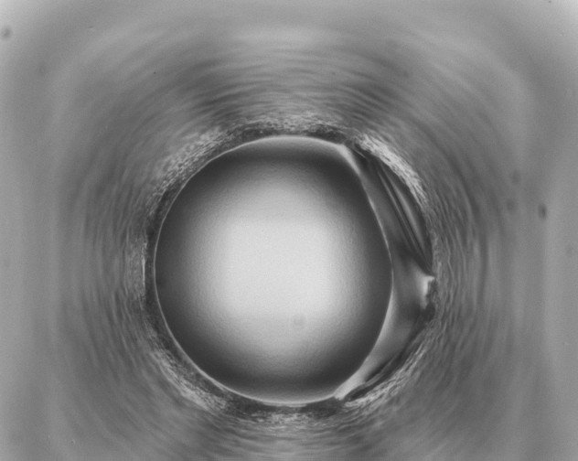 X0000086980493200704231823