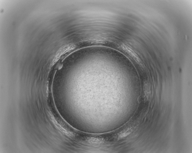 X0000086980494200704231823