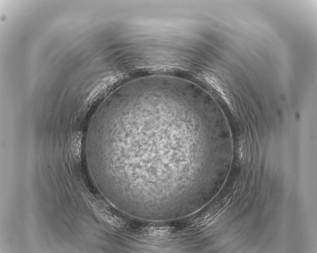 X0000086980495200704231823