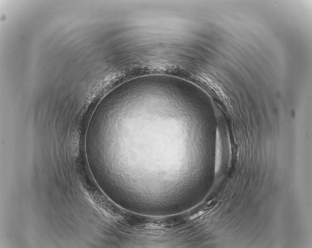 X0000086980496200704231823