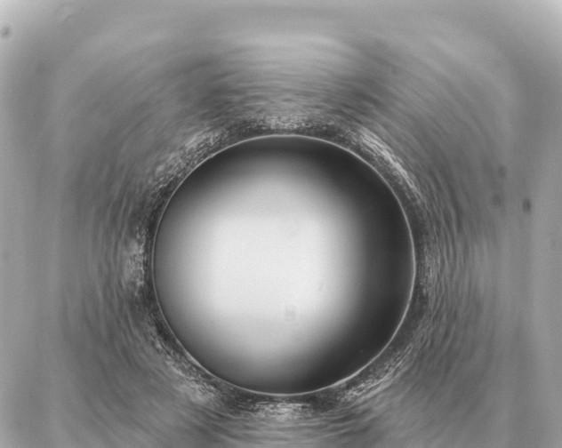 X0000086980497200704231823