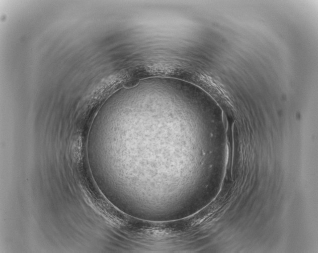 X0000086980498200704231823