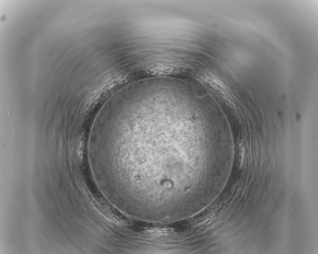 X0000086980499200704231823