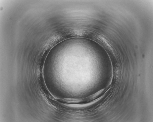 X0000086980500200704231823