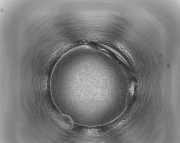 X0000086980501200704231823