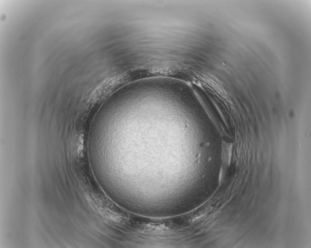 X0000086980502200704231823