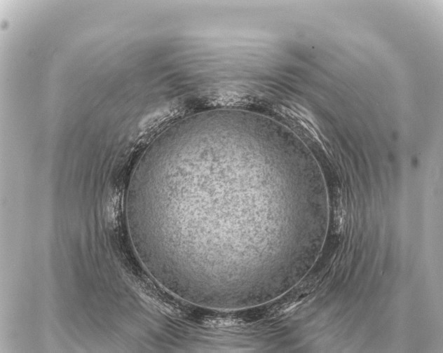 X0000086980503200704231823