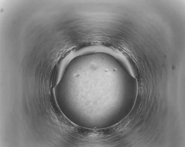 X0000086980504200704231823