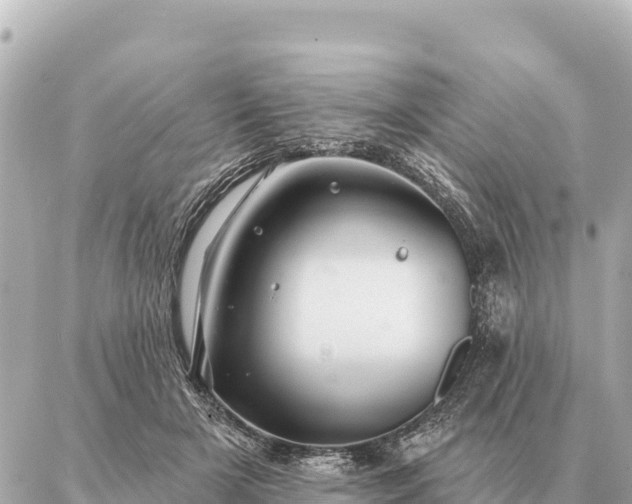 X0000086980505200704231823