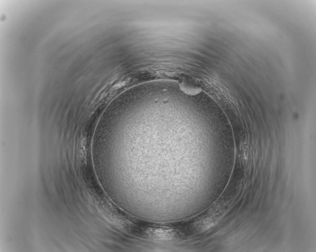 X0000086980506200704231823