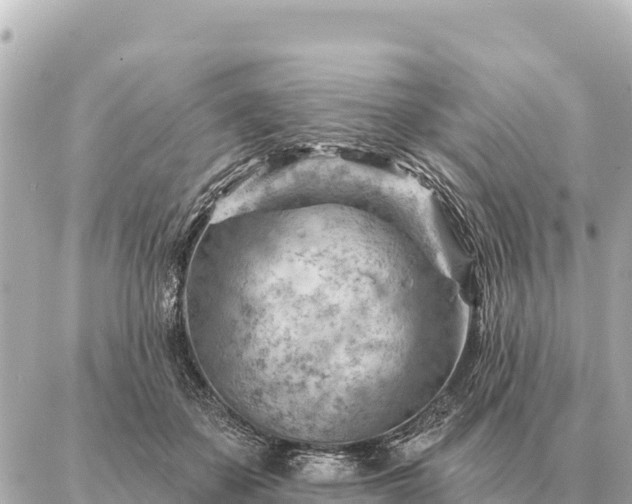 X0000086980507200704231823