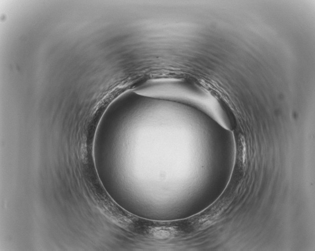 X0000086980508200704231823