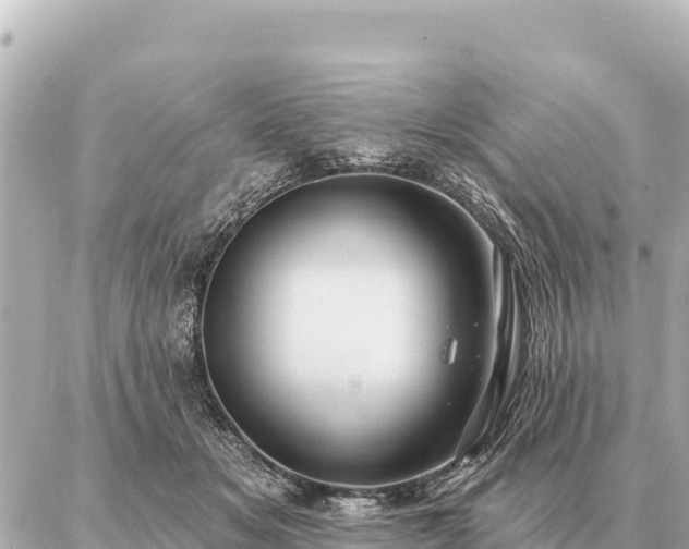 X0000086980509200704231823