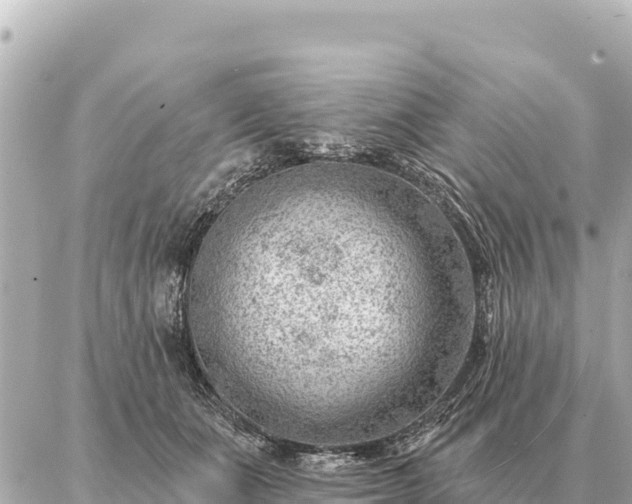 X0000086980511200704231823