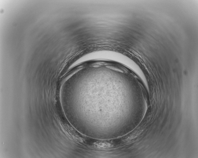 X0000086980512200704231823