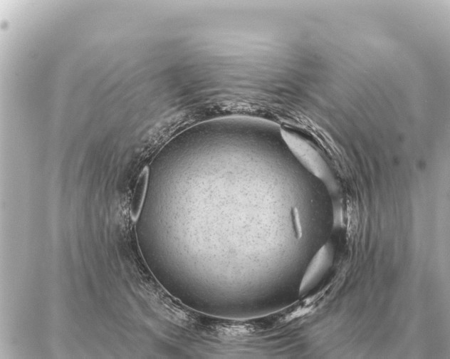 X0000086980513200704231823