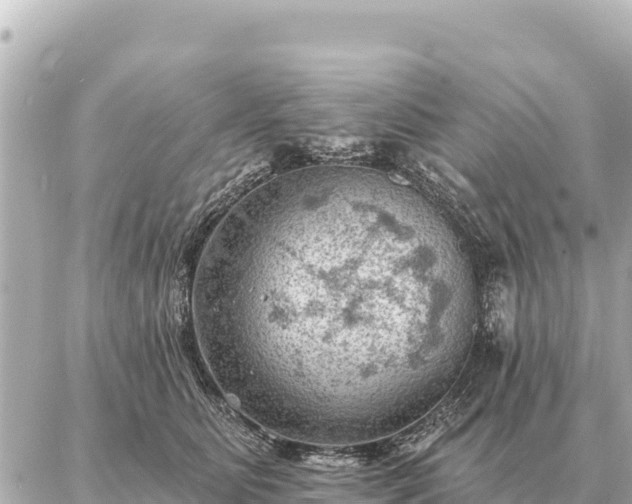 X0000086980515200704231823