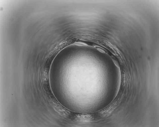 X0000086980517200704231822