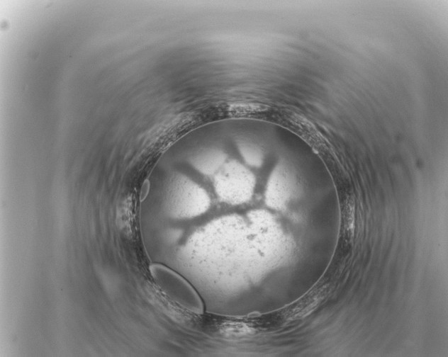 X0000086980519200704231822