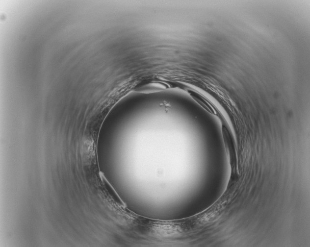 X0000086980521200704231822