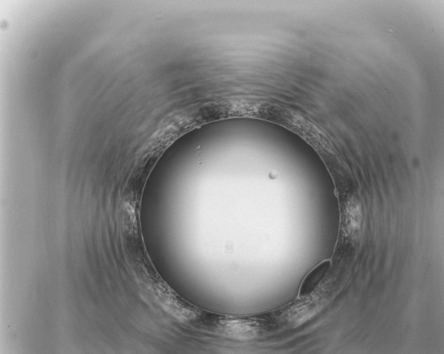 X0000086980522200704231822