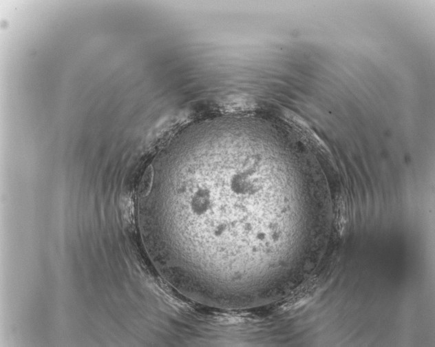 X0000086980523200704231822