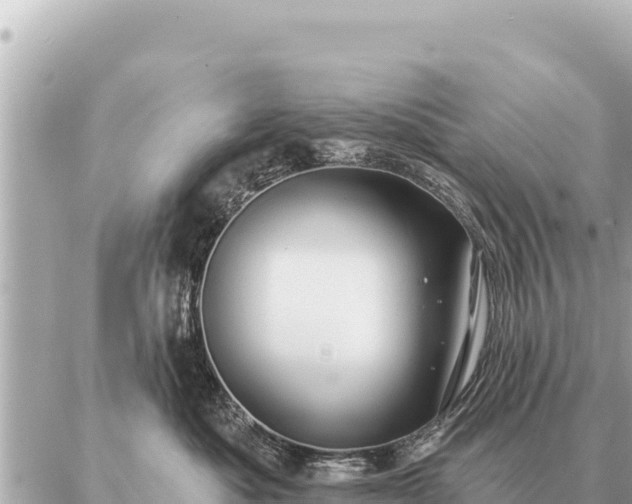 X0000086980525200704231822