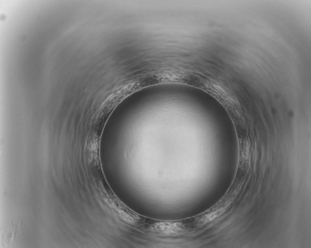 X0000086980526200704231822