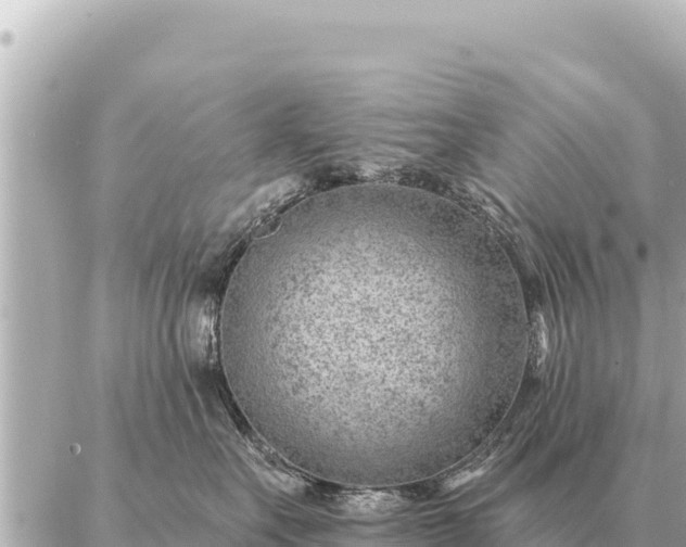 X0000086980527200704231822