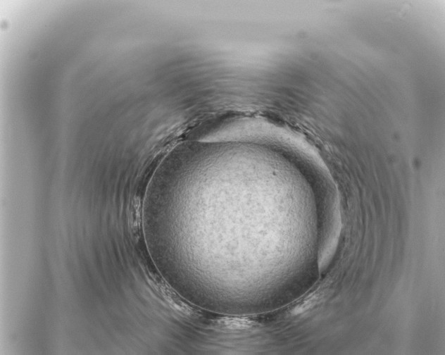 X0000086980528200704231822