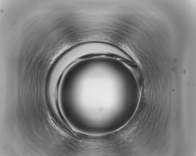 X0000086980530200704231822