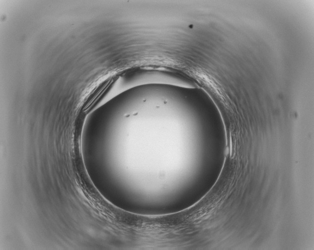 X0000086980531200704231822