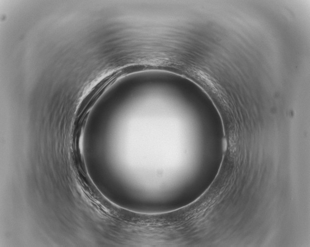 X0000086980532200704231822