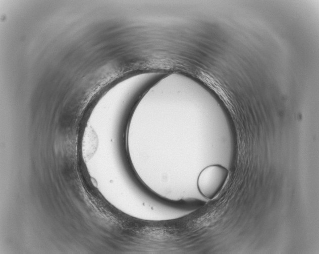 X0000086980534200704231822