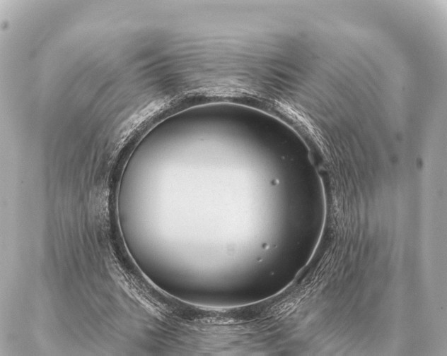 X0000086980535200704231822