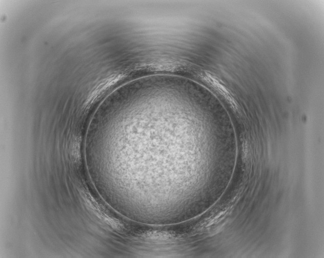 X0000086980537200704231822